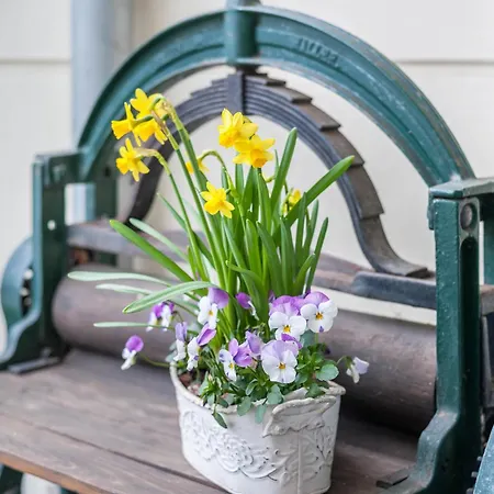 Lägenhet Morgenröte *