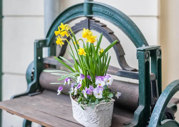 Апартаменты Morgenroete *